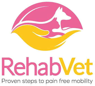 RehabVet